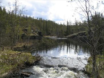 Pyhäjoki river